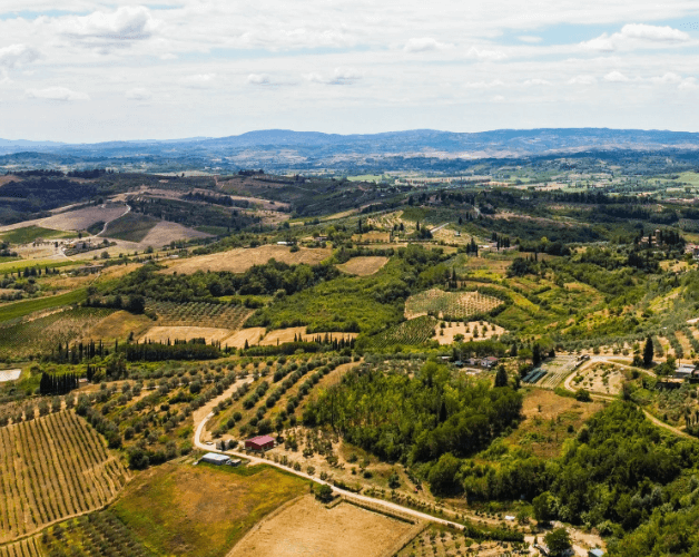 Paesaggi-e-vigneti_oltre-la-città_628x500